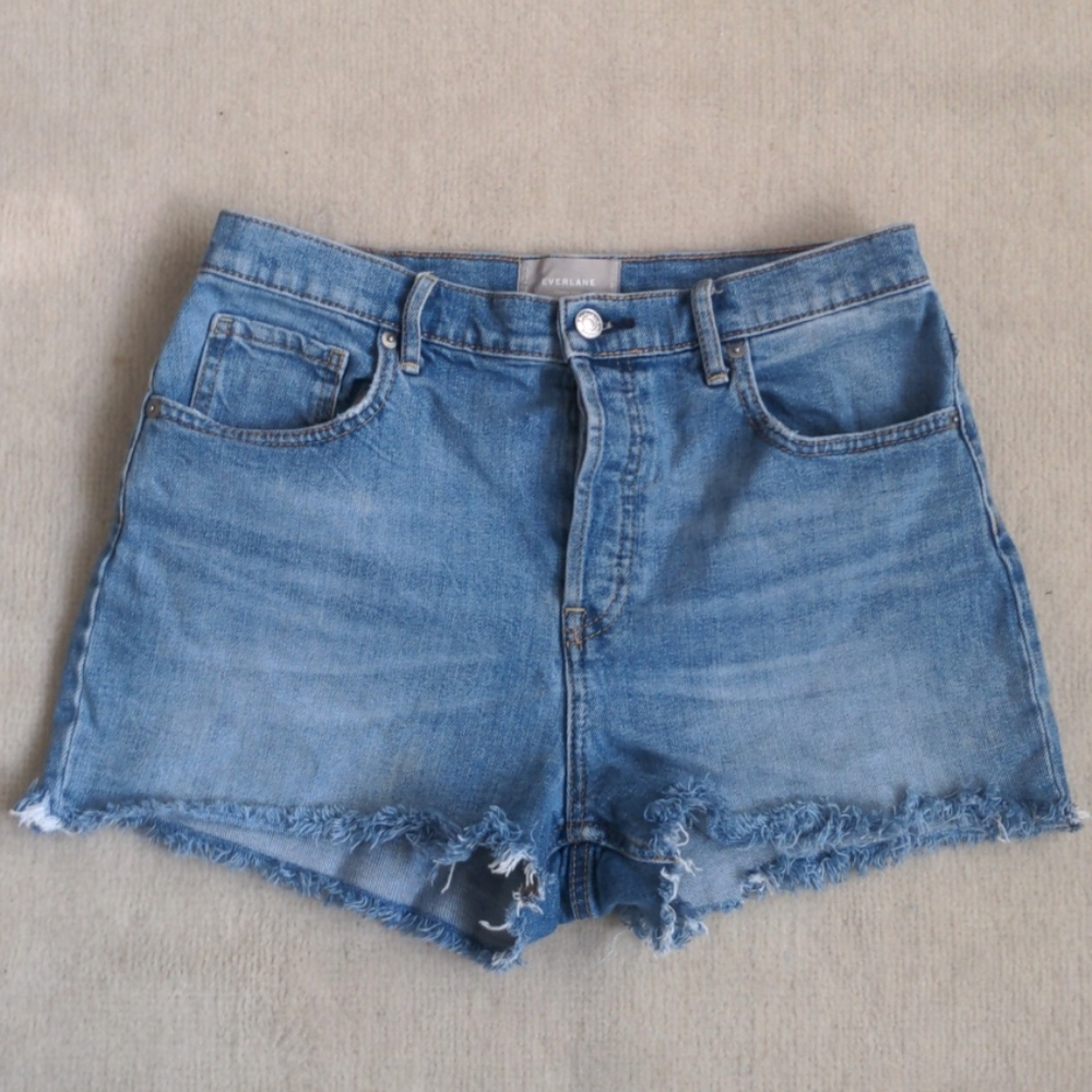 Everlane Cheeky Denim Short